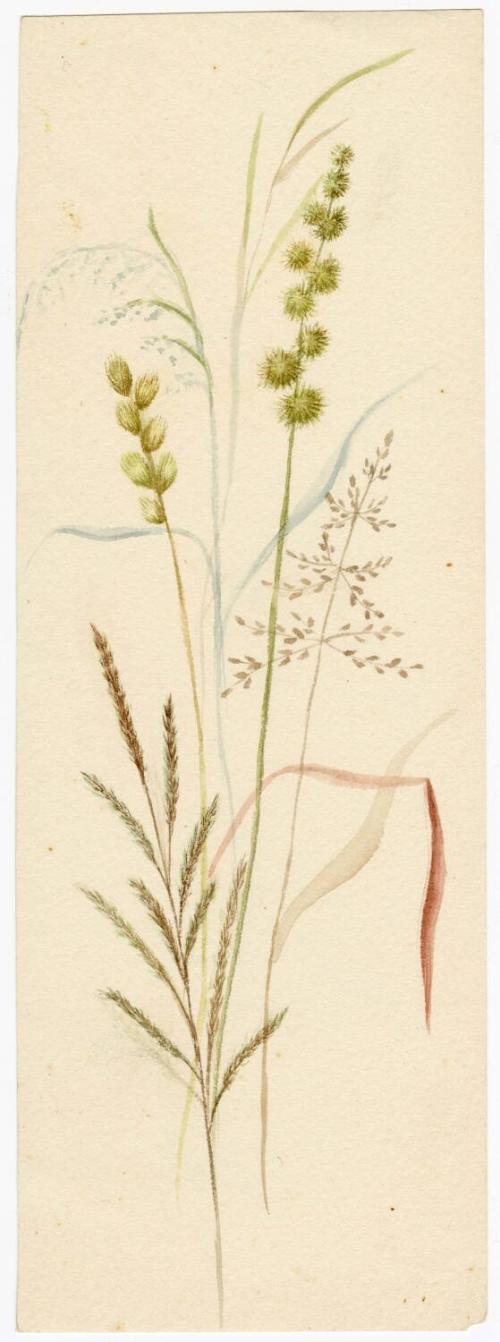 Gift of Jessie Norton-Lazenby, 2021.44.492, Connecticut Historical Society, No Known Copyright
