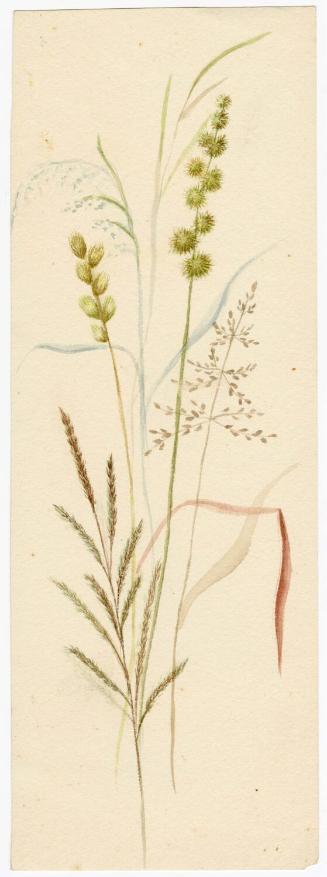 Gift of Jessie Norton-Lazenby, 2021.44.492, Connecticut Historical Society, No Known Copyright