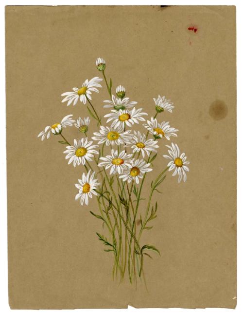Gift of Jessie Norton-Lazenby, 2021.44.504, Connecticut Historical Society, No Known Copyright