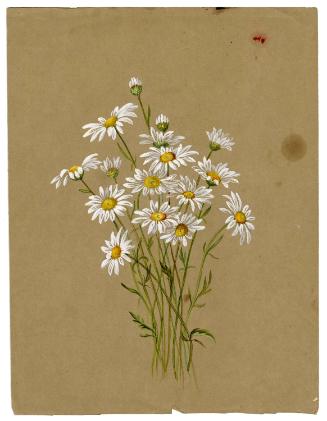 Gift of Jessie Norton-Lazenby, 2021.44.504, Connecticut Historical Society, No Known Copyright
