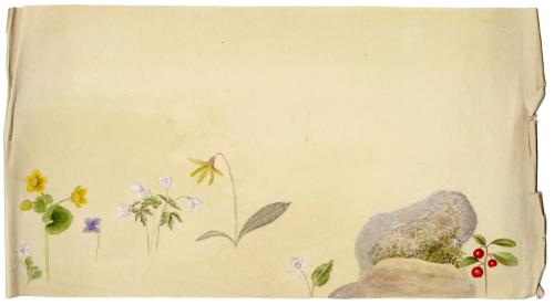 Gift of Jessie Norton-Lazenby, 2021.44.510, Connecticut Historical Society, No Known Copyright