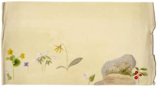 Gift of Jessie Norton-Lazenby, 2021.44.510, Connecticut Historical Society, No Known Copyright