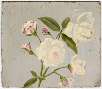 Gift of Jessie Norton-Lazenby, 2021.44.511, Connecticut Historical Society, No Known Copyright