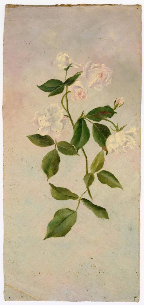 Gift of Jessie Norton-Lazenby, 2021.44.516, Connecticut Historical Society, No Known Copyright