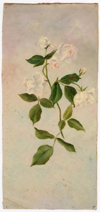 Gift of Jessie Norton-Lazenby, 2021.44.516, Connecticut Historical Society, No Known Copyright