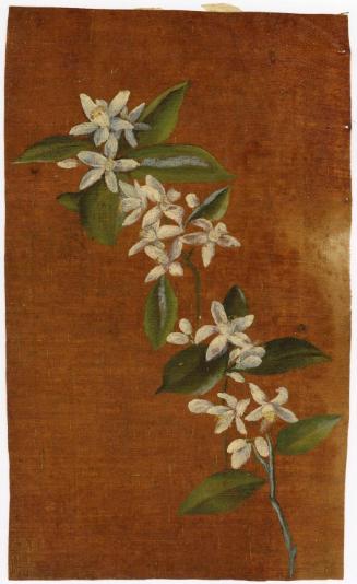 Gift of Jessie Norton-Lazenby, 2021.44.518, Connecticut Historical Society, No Known Copyright