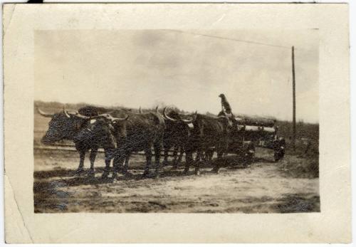 Gift of Jessie Norton-Lazenby, 2021.44.138, Connecticut Historical Society, No Known Copyright
