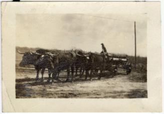 Gift of Jessie Norton-Lazenby, 2021.44.138, Connecticut Historical Society, No Known Copyright