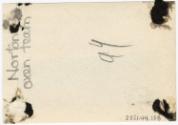 Gift of Jessie Norton-Lazenby, 2021.44.138, Connecticut Historical Society, No Known Copyright