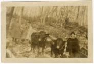 Gift of Jessie Norton-Lazenby, 2021.44.140, Connecticut Historical Society, No Known Copyright