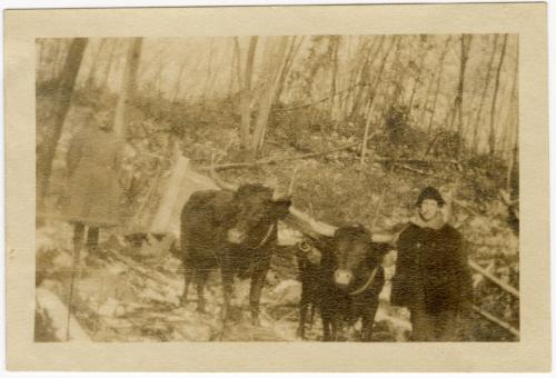 Gift of Jessie Norton-Lazenby, 2021.44.140, Connecticut Historical Society, No Known Copyright
