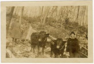 Gift of Jessie Norton-Lazenby, 2021.44.140, Connecticut Historical Society, No Known Copyright