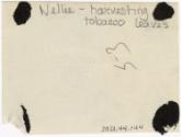 Gift of Jessie Norton-Lazenby, 2021.44.144, Connecticut Historical Society, No Known Copyright