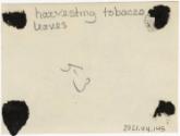 Gift of Jessie Norton-Lazenby, 2021.44.145, Connecticut Historical Society, No Known Copyright