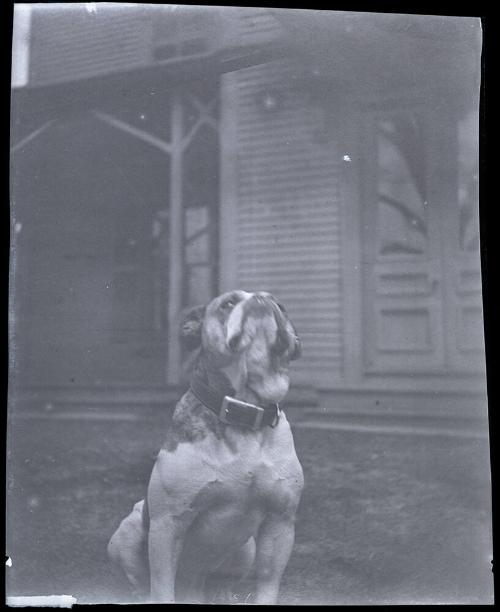 Gift of Mrs. Byard Williams, 1988.133.320, Connecticut Historical Society, Copyright Undetermin…