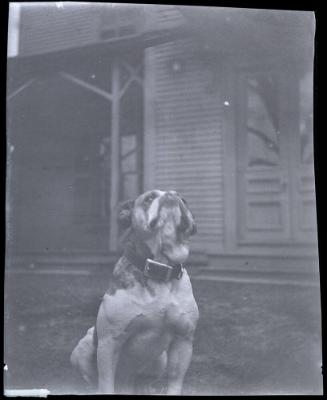 Gift of Mrs. Byard Williams, 1988.133.320, Connecticut Historical Society, Copyright Undetermin…