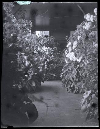 Gift of Mrs. Byard Williams, 1988.133.321, Connecticut Historical Society, Copyright Undetermin…