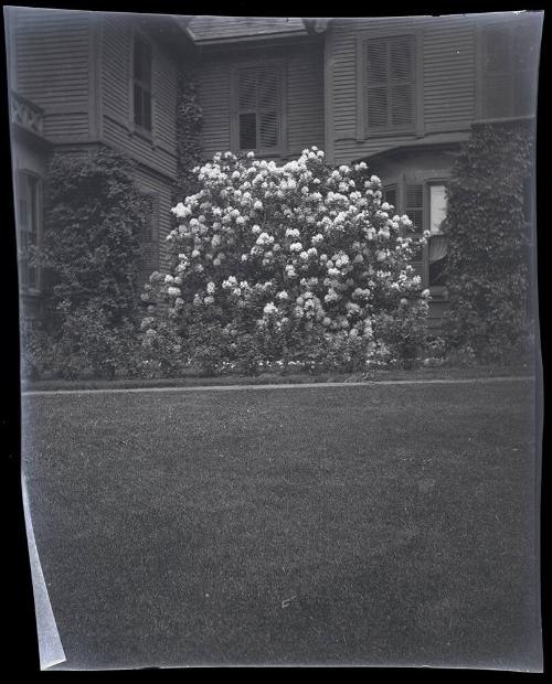 Gift of Mrs. Byard Williams, 1988.133.322, Connecticut Historical Society, Copyright Undetermin…