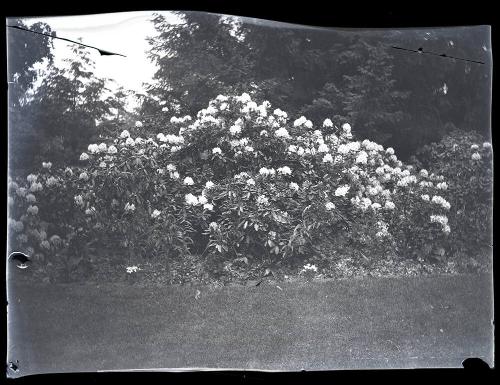 Gift of Mrs. Byard Williams, 1988.133.323, Connecticut Historical Society, Copyright Undetermin…