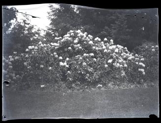Gift of Mrs. Byard Williams, 1988.133.323, Connecticut Historical Society, Copyright Undetermin…