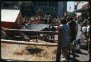 Gift of Bonnie Galecki, 2021.20.89, Connecticut Historical Society, Copyright Undetermined