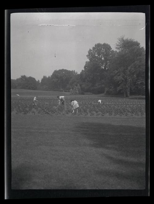 Gift of Mrs. Byard Williams, 1988.133.379, Connecticut Historical Society, Copyright Undetermin…