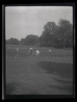 Gift of Mrs. Byard Williams, 1988.133.379, Connecticut Historical Society, Copyright Undetermin…
