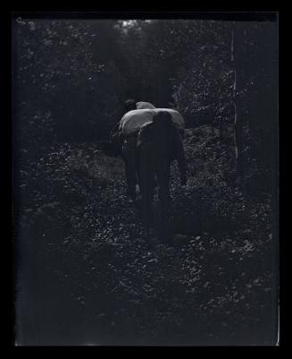 Gift of Mrs. Byard Williams, 1988.133.383, Connecticut Historical Society, Copyright Undetermin…
