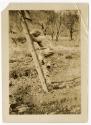 Gift of Jessie Norton-Lazenby, 2021.44.214, Connecticut Historical Society, No Known Copyright
