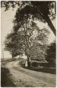 Gift of Jessie Norton-Lazenby, 2021.44.321, Connecticut Historical Society, No Known Copyright