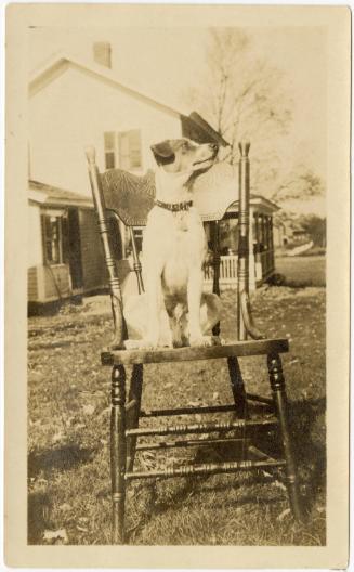 Gift of Jessie Norton-Lazenby, 2021.44.307, Connecticut Historical Society, No Known Copyright