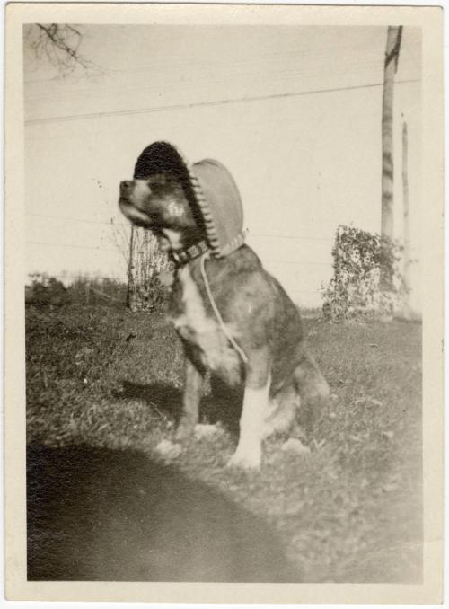 Gift of Jessie Norton-Lazenby, 2021.44.305, Connecticut Historical Society, No Known Copyright