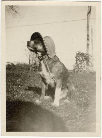 Gift of Jessie Norton-Lazenby, 2021.44.305, Connecticut Historical Society, No Known Copyright
