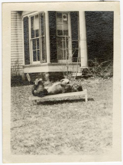 Gift of Jessie Norton-Lazenby, 2021.44.304, Connecticut Historical Society, No Known Copyright