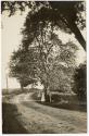 Gift of Jessie Norton-Lazenby, 2021.44.57, Connecticut Historical Society, Copyright Undetermin…