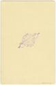 Gift of Jessie Norton-Lazenby, 2021.44.446, Connecticut Historical Society, No Known Copyright …