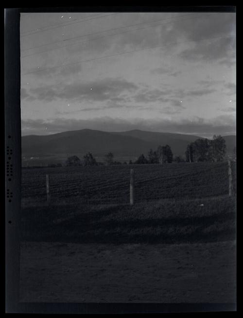 Gift of Mrs. Byard Williams, 1988.133.389, Connecticut Historical Society, Copyright Undetermin…