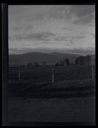 Gift of Mrs. Byard Williams, 1988.133.389, Connecticut Historical Society, Copyright Undetermin…