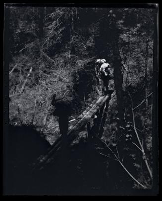 Gift of Mrs. Byard Williams, 1988.133.399, Connecticut Historical Society, Copyright Undetermin…
