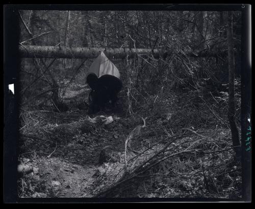 Gift of Mrs. Byard Williams, 1988.133.420, Connecticut Historical Society, Copyright Undetermin…