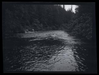 Gift of Mrs. Byard Williams, 1988.133.445, Connecticut Historical Society, Copyright Undetermin…
