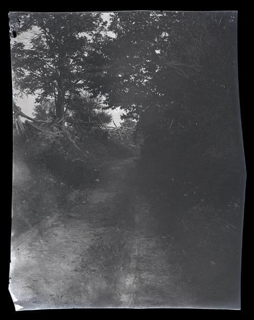 Gift of Mrs. Byard Williams, 1988.133.464, Connecticut Historical Society, Copyright Undetermin…
