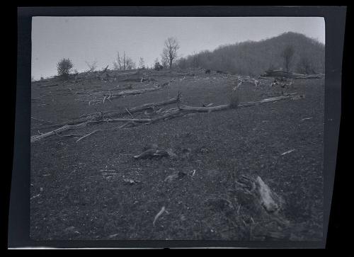 Gift of Mrs. Byard Williams, 1988.133.513, Connecticut Historical Society, Copyright Undetermin…