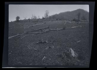 Gift of Mrs. Byard Williams, 1988.133.513, Connecticut Historical Society, Copyright Undetermin…