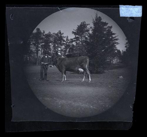 Gift of Mrs. Byard Williams, 1988.133.562, Connecticut Historical Society, Copyright Undetermin…
