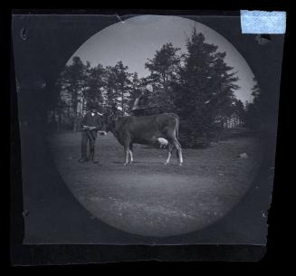 Gift of Mrs. Byard Williams, 1988.133.562, Connecticut Historical Society, Copyright Undetermin…