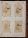 Gift of the Smith-Worthington Saddlery Co., 2021.22.213.1-.71, Connecticut Historical Society, …