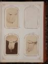 Gift of the Smith-Worthington Saddlery Co., 2021.22.213.1-.71, Connecticut Historical Society, …