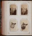 Gift of the Smith-Worthington Saddlery Co., 2021.22.213.1-.71, Connecticut Historical Society, …