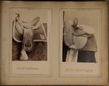 Gift of the Smith-Worthington Saddlery Co., 2021.22.214.1-.96, Connecticut Historical Society, …